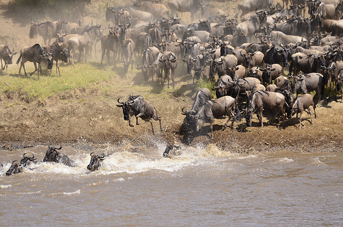 Photo taken by Thomson Safaris guest, Patti Sandoval, during her Signature Thomson Safari in October 2012